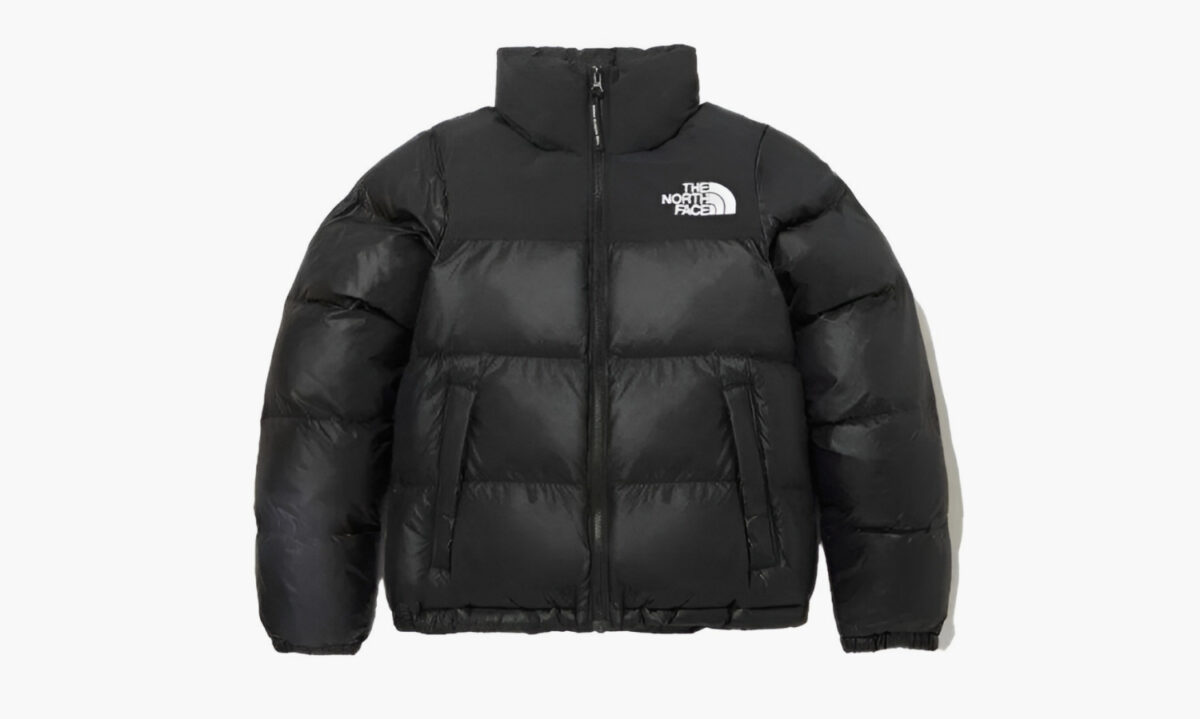 the-north-face-on-ball-jacket-black_nj3np85d