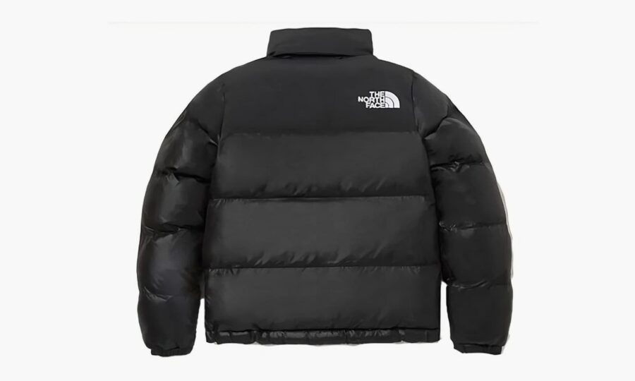 the-north-face-on-ball-jacket-black_nj3np85d_1